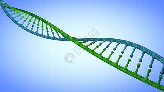 携带用于所有已知活生物体和许多的生长发育功能和繁殖的遗传指令图片