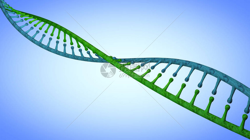 携带用于所有已知活生物体和许多的生长发育功能和繁殖的遗传指令图片