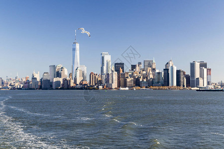 纽约曼哈顿下城和金融区天际线图片