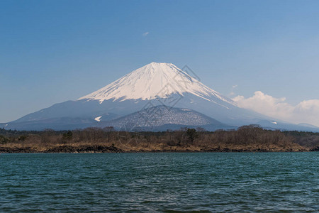 春季富士山和精进湖图片