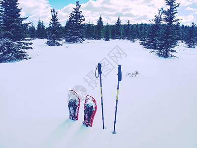 红色的雪鞋和登山杖在雪地里准备好图片