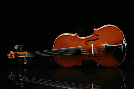黑色中的小提琴图片