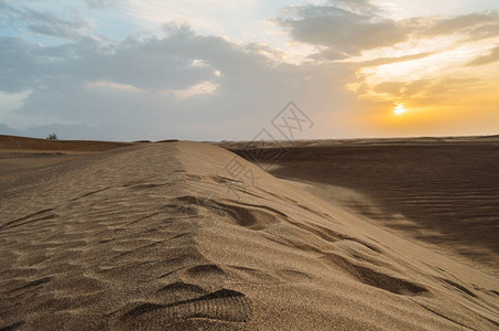 DashteLut的沙丘图片