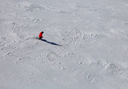 在斜坡上滑雪的一只雪车图片