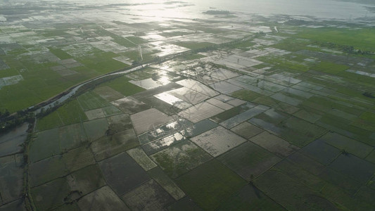 农业用地菲律宾巴托湖附近水稻梯田的空中观察图片