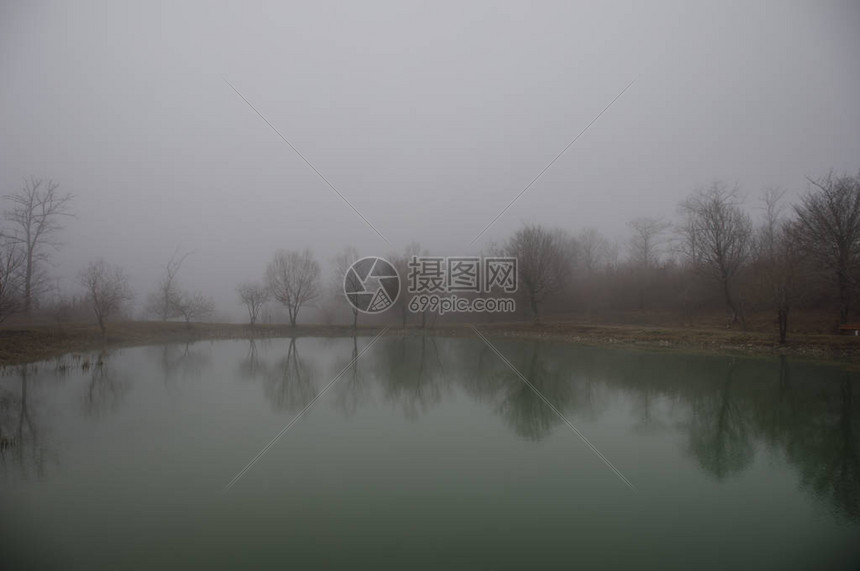 森林湖或美丽的森林湖中充满浓雾的风景图片