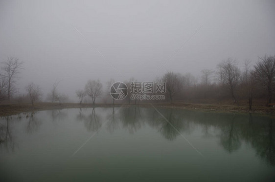 森林湖或美丽的森林湖中充满浓雾的风景图片