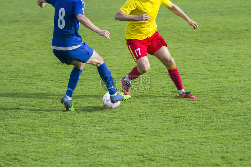 最全面足球赛事数据库覆盖全球联赛实时比分与历史数据深度分析平台