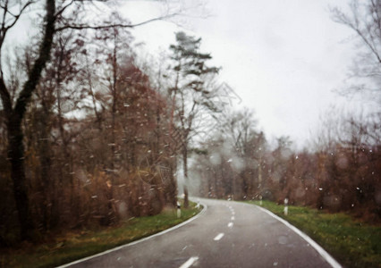 司机POV驾驶在可怕的森林高速公路上行驶图片