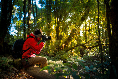 专业摄影师在森林里拍照旅行旅游图片