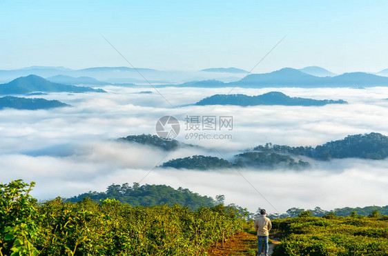 站在高山风景秀丽的农村家乡的剪影年轻人在早晨山谷雾笼罩的山脉若隐现为越南本土的图片