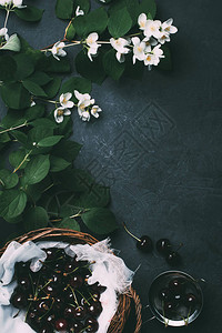 白色盛开的茉莉花和黑上成图片