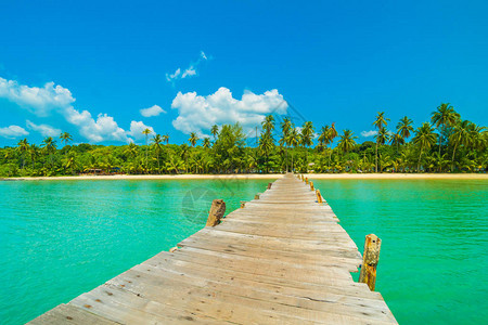在天堂岛与热带海滩和海洋搭建木林码头或桥梁图片