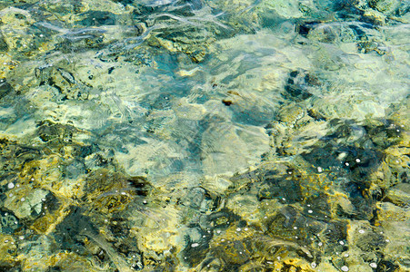 海底绿色珊瑚礁的质地是通过盐水海洋透明水的棱镜来看待的背景笑声图片