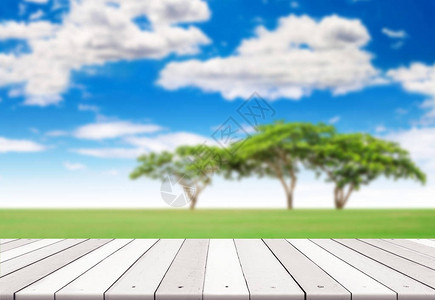 草和大树的夏季风景上的空木板图片