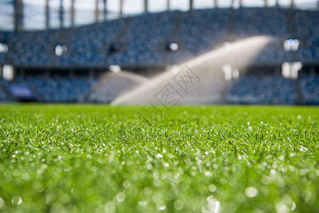 阳光下体育场上的草一个绿色足球场的特写镜头浇水灌溉时图片