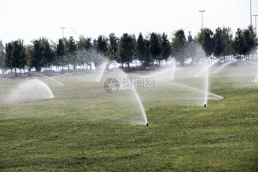 草坪洒水器在花园的草地上喷水图片