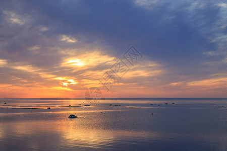 海滨波罗的海清晨金色图片