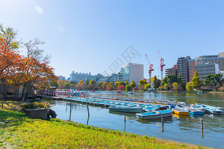上野公园是东京市中心最受欢迎的公共休闲绿地湖图片