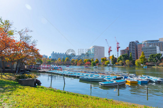 上野公园是东京市中心最受欢迎的公共休闲绿地湖图片