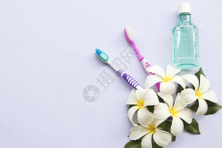 用于保健的牙刷牙膏和牙膏图片