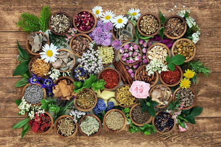 草药香料和花卉用于和天然替代疗法图片