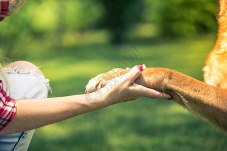 女人握着狗爪友图片