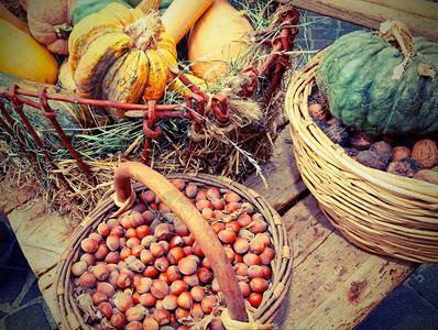 南瓜和秋天的水果在马车中图片