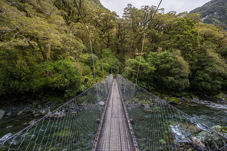 位于新西兰密尔福德州密尔福德Fiordland公园的Mar图片