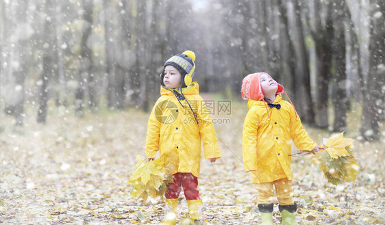 蹒跚学步的孩子们在秋天的公园里散步秋林初霜雪孩子们在公园图片