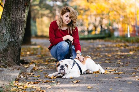 美女和可爱的英国斗牛犬一起在公图片