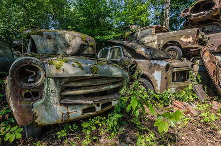 森林垃圾场上长满苔藓的旧车图片