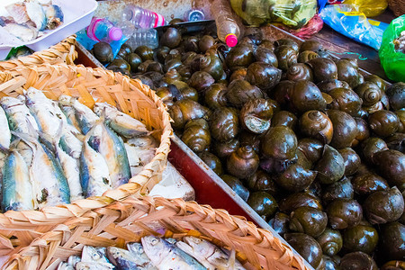 柬埔寨暹粒当地粮食市场新鲜鱼类和海鲜鱼及图片