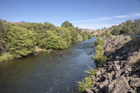 俄勒冈州东部景观中的暖泉河图片