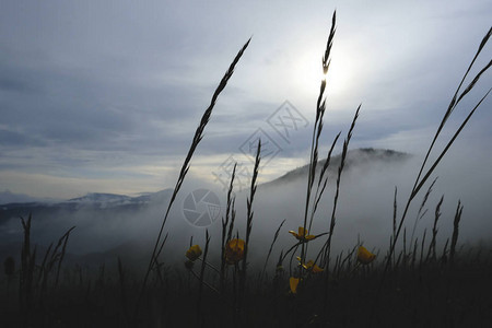 在早晨五颜六色的雾中可以看到轮廓的山脉山中的雾图片