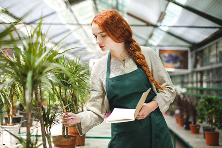 身着围裙的年轻花店家在与温室植物时用笔纸和图片