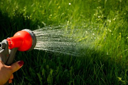 浇水花园设备手握灌溉植物的喷水软管园丁用浇水软管和喷雾器图片