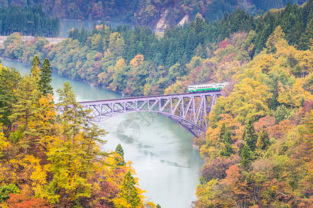 东北长白山秋天在福岛三镇T背景