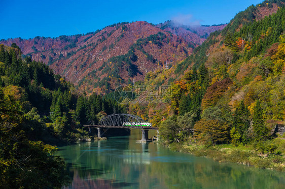 秋天在福岛三镇T图片