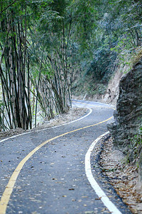 一条小山路线图片