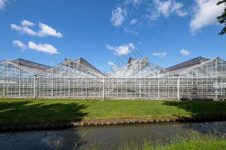 荷兰韦斯特兰的温室韦斯特兰是荷兰的一个地区商业玻璃温室或温室是蔬菜或花卉的高背景图片