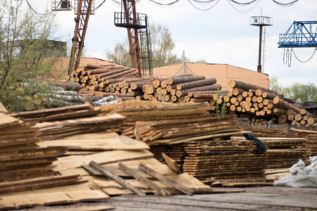 木工厂家具工厂树木和板子的图纸图片
