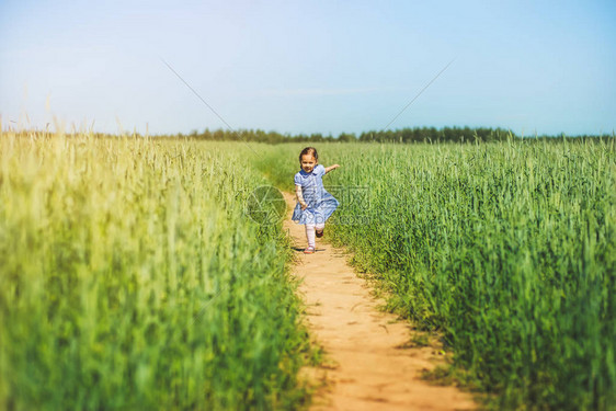 穿裙子的小女孩在阳光明媚的图片