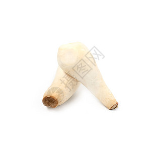 白背黑锅上的海燕王蘑菇E图片