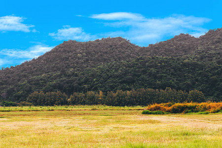 与蓝天的山风景图片