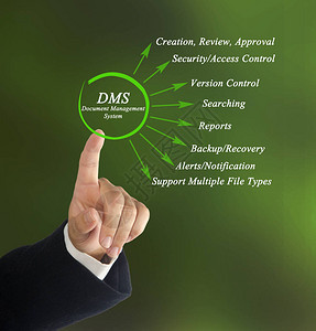 文件管理系统DMS图片