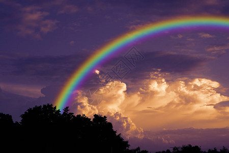 彩虹在落日的天空和背影干树枝图片