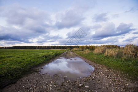 在阴天拉脱维亚的绿色乡村景观图片