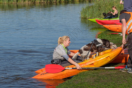 狗和教练在独木舟荷兰代尔夫特2017年9月23日图片