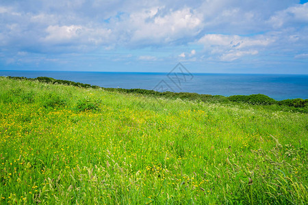 绿色农村Cornish山坡草原的景观图片